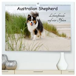 Australian Shepherd – Lebensfreude auf vier Pfoten (hochwertiger Premium Wandkalender 2024 DIN A2 quer), Kunstdruck in Hochglanz von Nozulak,  Miriam