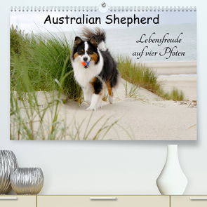 Australian Shepherd – Lebensfreude auf vier Pfoten (Premium, hochwertiger DIN A2 Wandkalender 2022, Kunstdruck in Hochglanz) von Nozulak,  Miriam