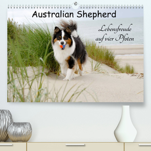 Australian Shepherd – Lebensfreude auf vier Pfoten (Premium, hochwertiger DIN A2 Wandkalender 2023, Kunstdruck in Hochglanz) von Nozulak,  Miriam