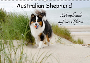 Australian Shepherd – Lebensfreude auf vier Pfoten (Wandkalender 2020 DIN A2 quer) von Nozulak,  Miriam