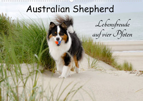 Australian Shepherd – Lebensfreude auf vier Pfoten (Wandkalender 2023 DIN A2 quer) von Nozulak,  Miriam