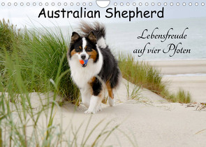 Australian Shepherd – Lebensfreude auf vier Pfoten (Wandkalender 2023 DIN A4 quer) von Nozulak,  Miriam
