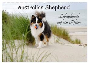 Australian Shepherd – Lebensfreude auf vier Pfoten (Wandkalender 2024 DIN A2 quer), CALVENDO Monatskalender von Nozulak,  Miriam