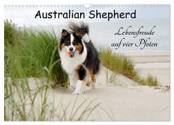 Australian Shepherd – Lebensfreude auf vier Pfoten (Wandkalender 2024 DIN A3 quer), CALVENDO Monatskalender von Nozulak,  Miriam