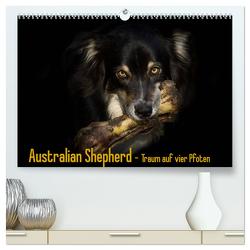 Australian Shepherd – Traum auf vier Pfoten (hochwertiger Premium Wandkalender 2024 DIN A2 quer), Kunstdruck in Hochglanz von Mayer Tierfotografie,  Andrea