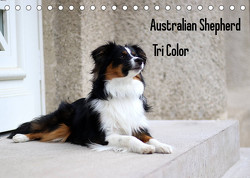 Australian Shepherd Tri Color (Tischkalender 2023 DIN A5 quer) von Youlia