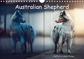 Australian Shepherd – Vielfalt in einer Rasse (Wandkalender 2021 DIN A4 quer) von Wobith Photography,  Sabrina