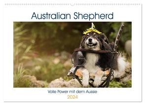 Australian Shepherd – volle Power mit dem Aussie (Wandkalender 2024 DIN A2 quer), CALVENDO Monatskalender von Mayer Tierfotografie,  Andrea