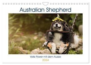 Australian Shepherd – volle Power mit dem Aussie (Wandkalender 2024 DIN A4 quer), CALVENDO Monatskalender von Mayer Tierfotografie,  Andrea