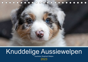 Australian Shepherd Welpen 2023 (Tischkalender 2023 DIN A5 quer) von Mirsberger www.annettmirsberger.de,  Annett