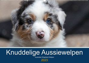 Australian Shepherd Welpen 2023 (Wandkalender 2023 DIN A2 quer) von Mirsberger www.annettmirsberger.de,  Annett