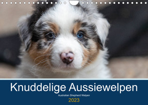 Australian Shepherd Welpen 2023 (Wandkalender 2023 DIN A4 quer) von Mirsberger www.annettmirsberger.de,  Annett