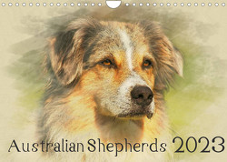 Australian Shepherds 2023 (Wandkalender 2023 DIN A4 quer) von Redecker,  Andrea