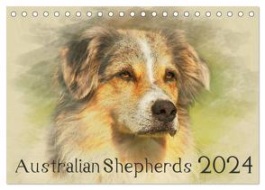 Australian Shepherds 2024 (Tischkalender 2024 DIN A5 quer), CALVENDO Monatskalender von Redecker,  Andrea