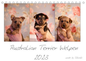 Australian Terrier Welpen (Tischkalender 2023 DIN A5 quer) von Tierfotografie,  Sikisaki
