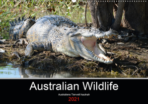 Australian Wildlife (Wandkalender 2021 DIN A2 quer) von Brown,  King