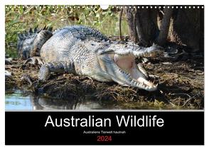Australian Wildlife (Wandkalender 2024 DIN A3 quer), CALVENDO Monatskalender von Brown,  King