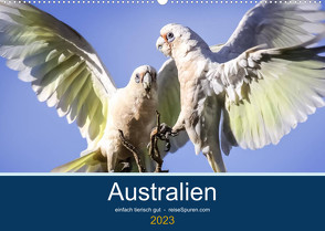 Australien – einfach tierisch gut (Wandkalender 2023 DIN A2 quer) von Bergwitz,  Uwe