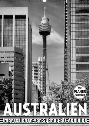 AUSTRALIEN Impressionen von Sydney bis Adelaide (Wandkalender 2019 DIN A2 hoch) von Viola,  Melanie