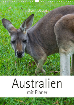 Australien mit Planer (Wandkalender 2023 DIN A3 hoch) von Daugs,  Björn