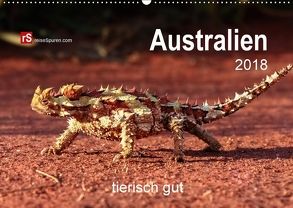 Australien tierisch gut 2018 (Wandkalender 2018 DIN A2 quer) von Bergwitz,  Uwe
