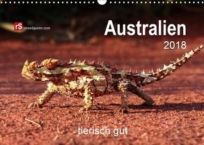 Australien tierisch gut 2018 (Wandkalender 2018 DIN A3 quer) von Bergwitz,  Uwe