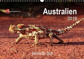 Australien tierisch gut 2019 (Wandkalender 2019 DIN A3 quer) von Bergwitz,  Uwe