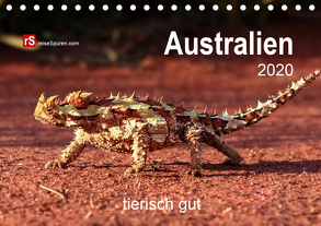 Australien tierisch gut 2020 (Tischkalender 2020 DIN A5 quer) von Bergwitz,  Uwe
