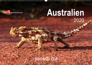 Australien tierisch gut 2020 (Wandkalender 2020 DIN A2 quer) von Bergwitz,  Uwe