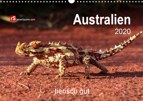 Australien tierisch gut 2020 (Wandkalender 2020 DIN A3 quer) von Bergwitz,  Uwe