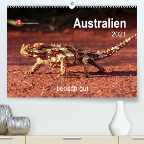 Australien tierisch gut 2021 (Premium, hochwertiger DIN A2 Wandkalender 2021, Kunstdruck in Hochglanz) von Bergwitz,  Uwe