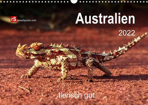 Australien tierisch gut 2022 (Wandkalender 2022 DIN A3 quer) von Bergwitz,  Uwe