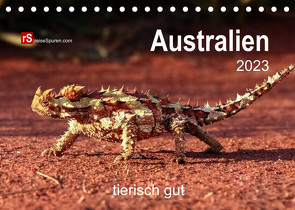 Australien tierisch gut 2023 (Tischkalender 2023 DIN A5 quer) von Bergwitz,  Uwe
