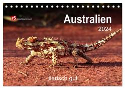 Australien tierisch gut 2024 (Tischkalender 2024 DIN A5 quer), CALVENDO Monatskalender von Bergwitz,  Uwe