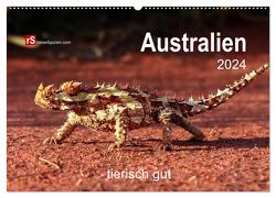 Australien tierisch gut 2024 (Wandkalender 2024 DIN A2 quer), CALVENDO Monatskalender von Bergwitz,  Uwe