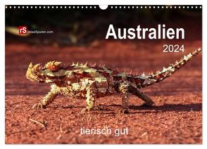 Australien tierisch gut 2024 (Wandkalender 2024 DIN A3 quer), CALVENDO Monatskalender von Bergwitz,  Uwe