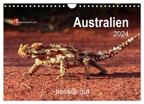 Australien tierisch gut 2024 (Wandkalender 2024 DIN A4 quer), CALVENDO Monatskalender von Bergwitz,  Uwe