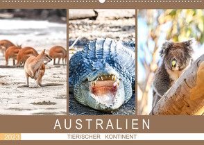 Australien, tierischer Kontinent (Wandkalender 2023 DIN A2 quer) von Styppa,  Robert