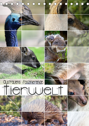 Australiens faszinierende Tierwelt (Tischkalender 2023 DIN A5 hoch) von Utz,  Renate