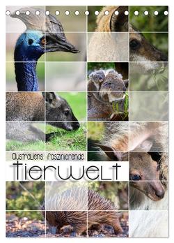 Australiens faszinierende Tierwelt (Tischkalender 2024 DIN A5 hoch), CALVENDO Monatskalender von Utz,  Renate