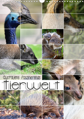 Australiens faszinierende Tierwelt (Wandkalender 2023 DIN A3 hoch) von Utz,  Renate