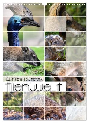 Australiens faszinierende Tierwelt (Wandkalender 2024 DIN A3 hoch), CALVENDO Monatskalender von Utz,  Renate