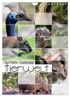 Australiens faszinierende Tierwelt (Wandkalender 2024 DIN A4 hoch), CALVENDO Monatskalender von Utz,  Renate