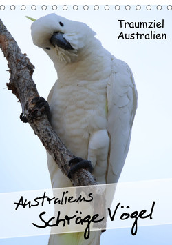 Australiens schräge Vögel 2023 (Tischkalender 2023 DIN A5 hoch) von Kinderaktionär