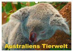 Australiens Tierwelt (Wandkalender 2024 DIN A3 quer), CALVENDO Monatskalender von Stanzer,  Elisabeth