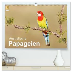 Australische Papageien (hochwertiger Premium Wandkalender 2024 DIN A2 quer), Kunstdruck in Hochglanz von birdimagency,  BIA