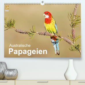 Australische Papageien (Premium, hochwertiger DIN A2 Wandkalender 2020, Kunstdruck in Hochglanz) von birdimagency,  BIA