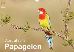 Australische Papageien (Wandkalender 2023 DIN A3 quer) von birdimagency,  BIA