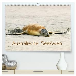 Australische Seelöwen (hochwertiger Premium Wandkalender 2024 DIN A2 quer), Kunstdruck in Hochglanz von Drafz,  Silvia