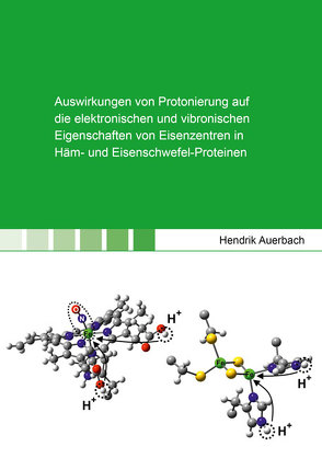 Auswirkungen von Protonierung auf die elektronischen und vibronischen Eigenschaften von Eisenzentren in Häm- und Eisenschwefel-Proteinen von Auerbach,  Hendrik